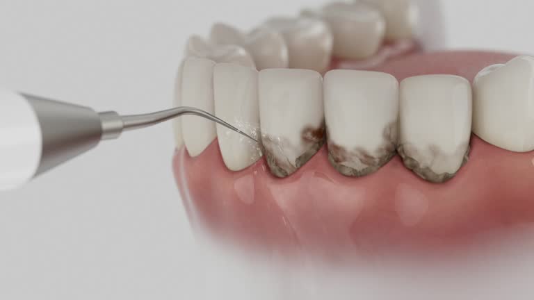 Reliable Dental contractor in Pocomoke City, MD by Dentist Open Now